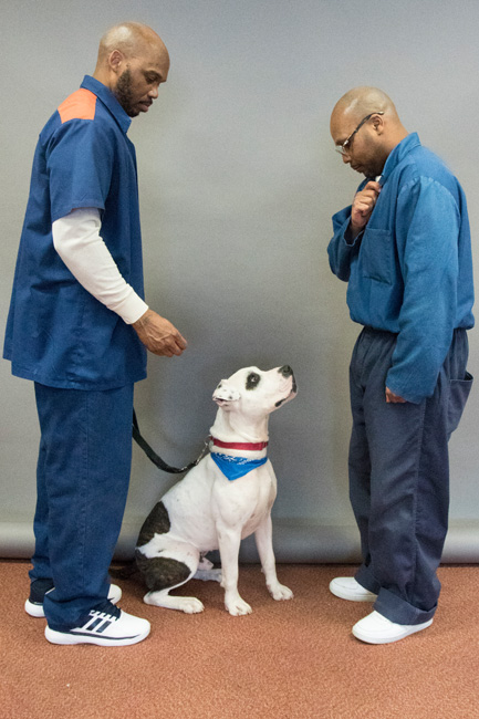 Photograph from the Humanize the Numbers project, photographed in Michigan prisons